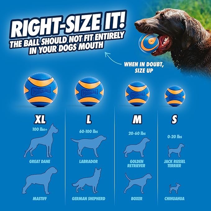 Chuckit! Ultra Squeaker Ball Medium 2-pack