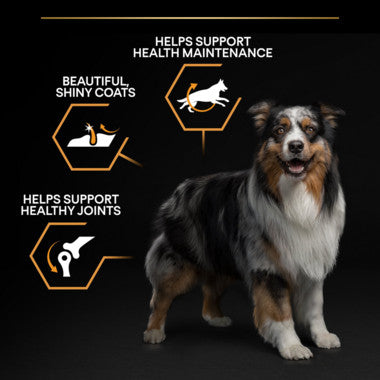 Pro Plan Pro Plan Adult Medium Dog Food