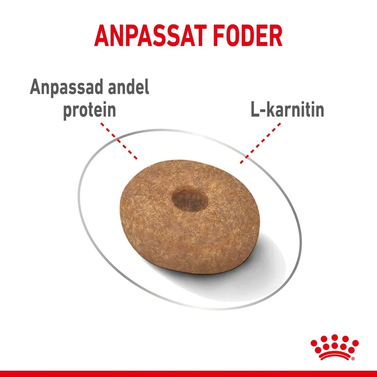 Royal Canin Light Weight Care Mini