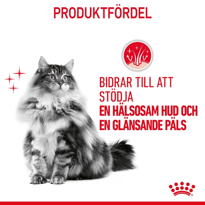 Royal Canin Hair & Skin Care 10 kg – Cat Food for Skin & Coat