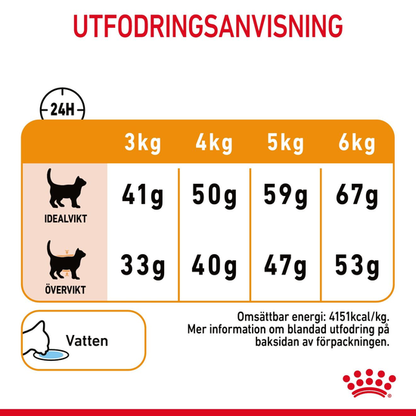Royal Canin Hair & Skin Care 10 kg – Cat Food for Skin & Coat