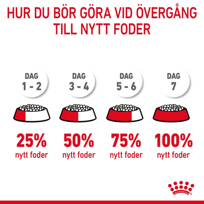 Royal Canin Hair & Skin Care 10 kg – Cat Food for Skin & Coat