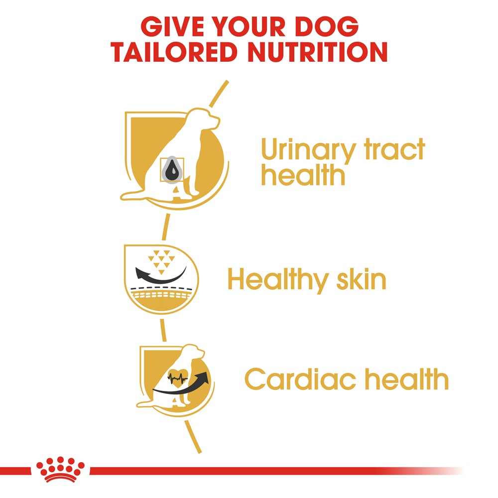 Royal Canin Dalmatian Adult