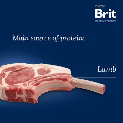 Brit Premium by Nature Sensitive Lamb