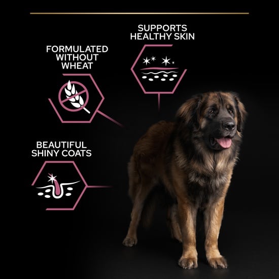 Pro Plan Pro Plan Medium Adult Sensitive Skin Dog Food