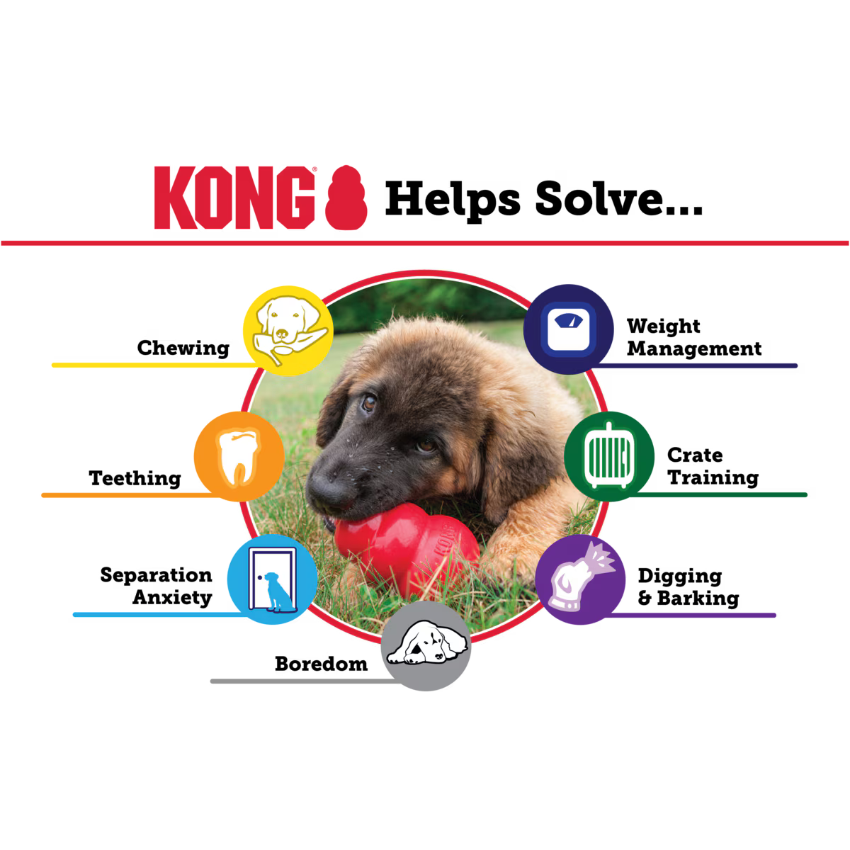 KONG Classic Large Dog Toy