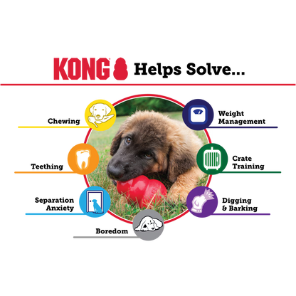 KONG Classic Large Dog Toy