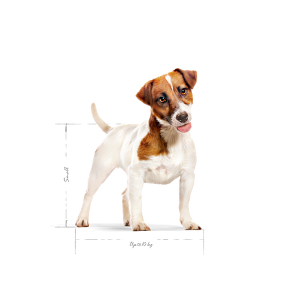 Royal Canin Mini Adult