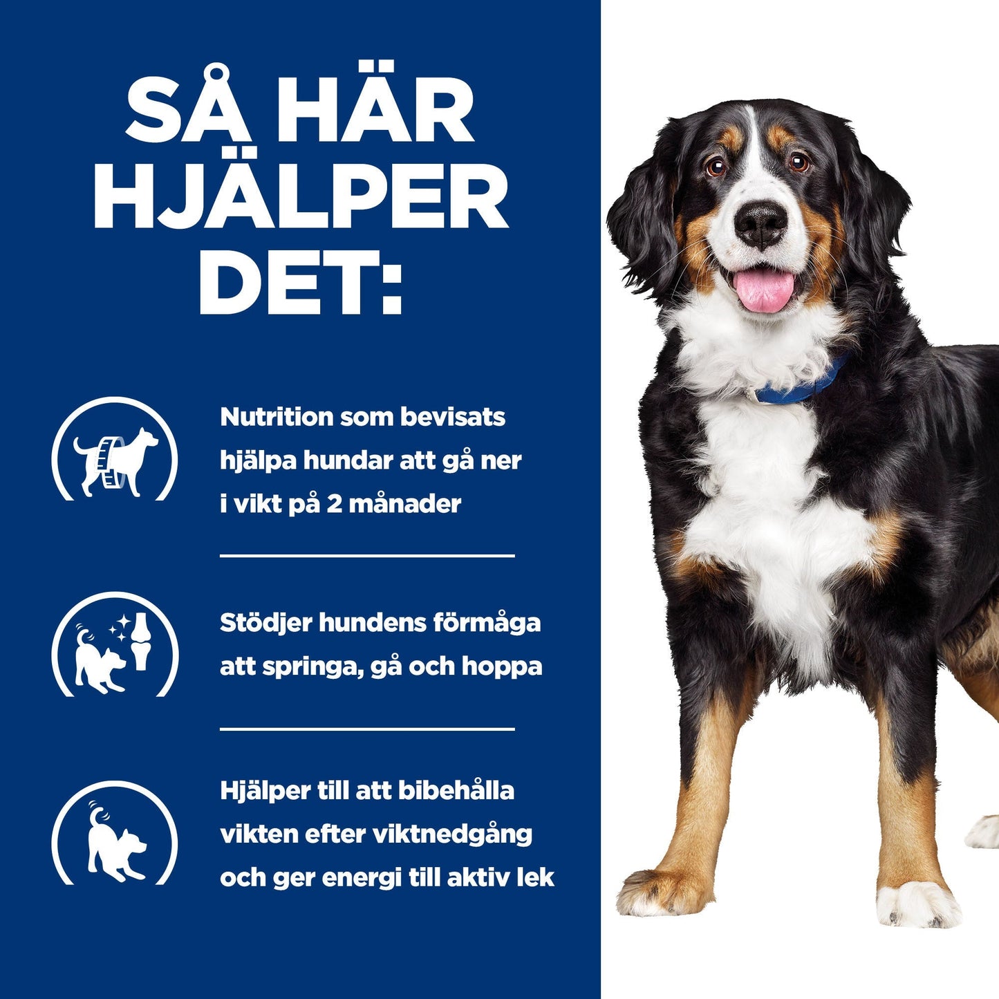 Hill's Prescription Diet Metabolic Mobility Canine