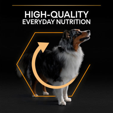 Pro Plan Pro Plan Adult Medium Dog Food