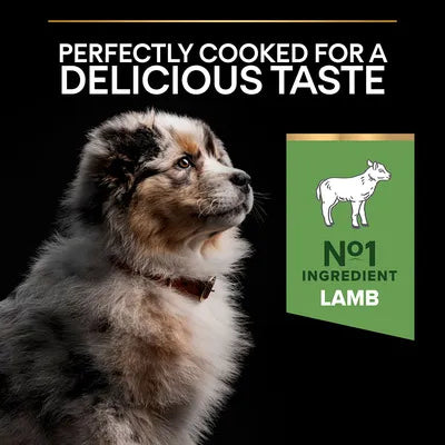 Purina Medium Puppy Sensitive Digestion With Optidigest