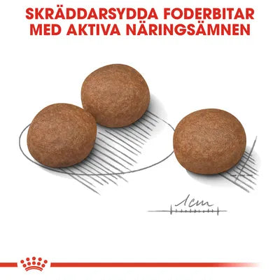 Royal Canin Medium Digestive Care