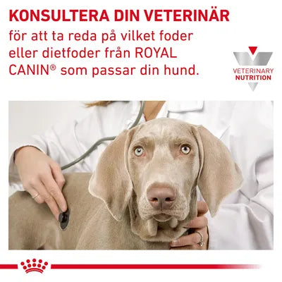 Royal Canin Gastrointestinal Low Fat Veterinary Diet