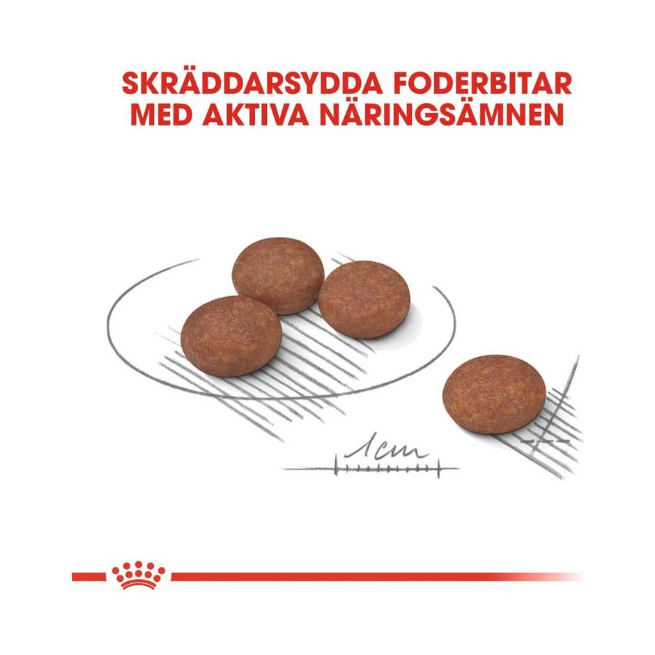 Royal Canin Mini Digestive Care
