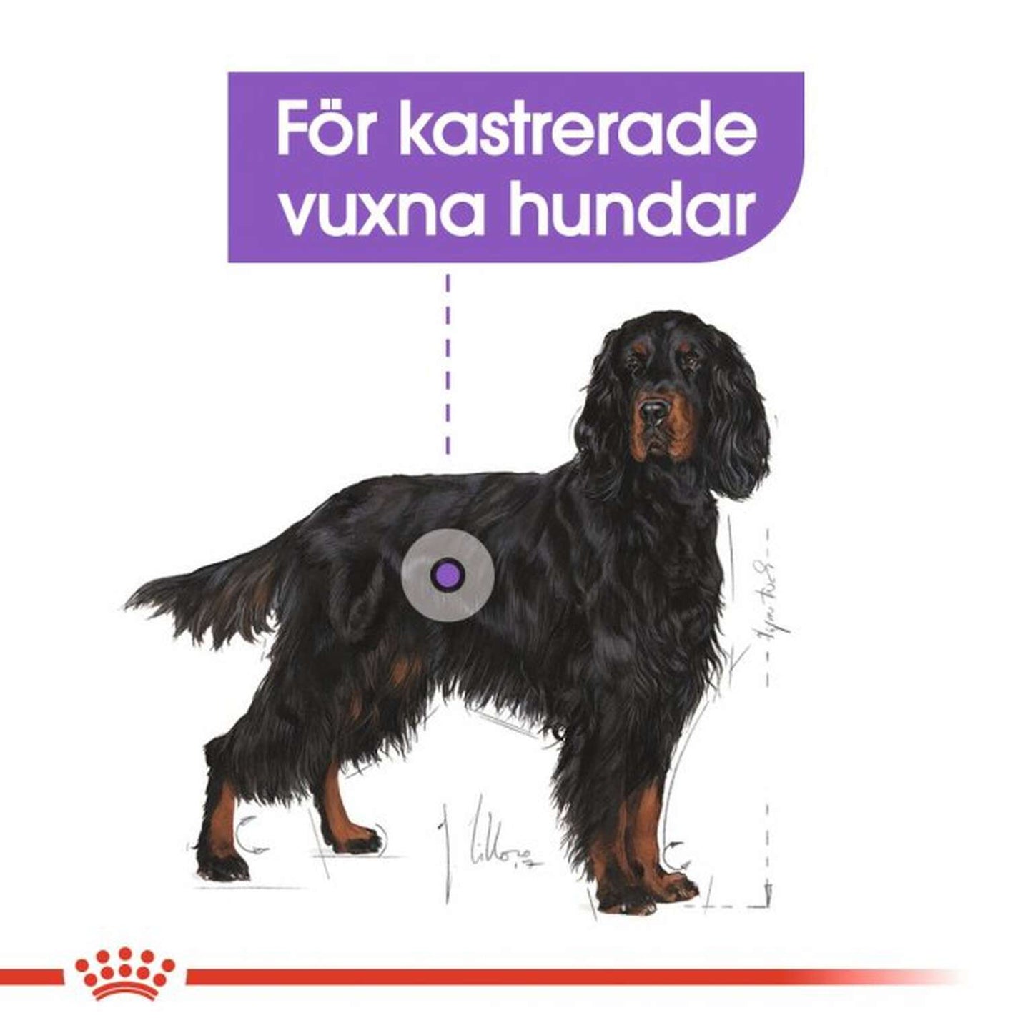Royal Canin Maxi Sterilised