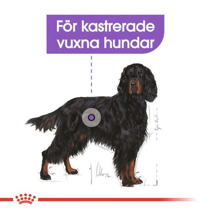 Royal Canin Maxi Sterilised